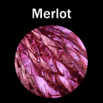 Merlot