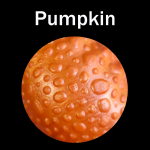 Pumpkin